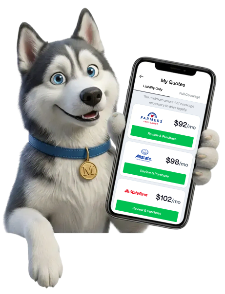 Auto Insurance Quotes Online