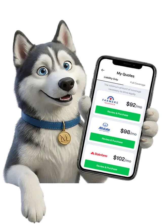 Auto Insurance Quotes Online