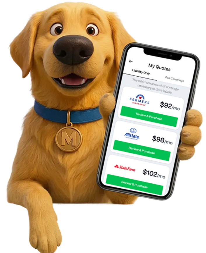 Auto Insurance Quotes Online